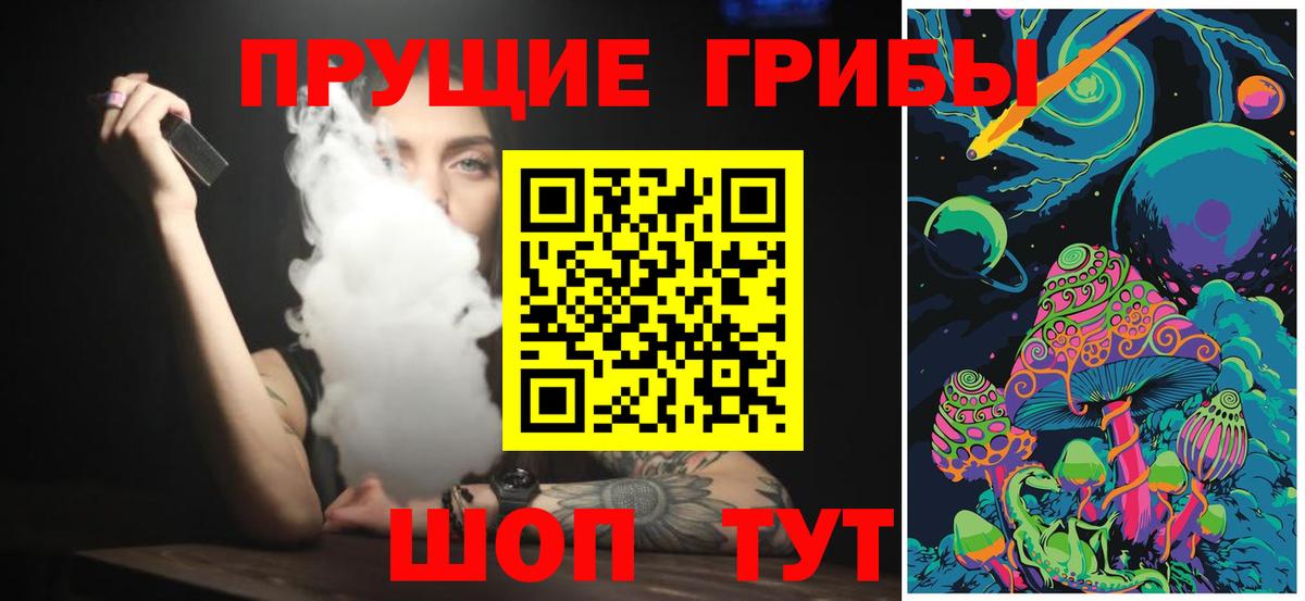 Псилоцибиновые грибы GOLDEN TEACHER  купить наркоту  Вход с VPN  Люберцы  Псилоцибиновые грибы Magic Shrooms 