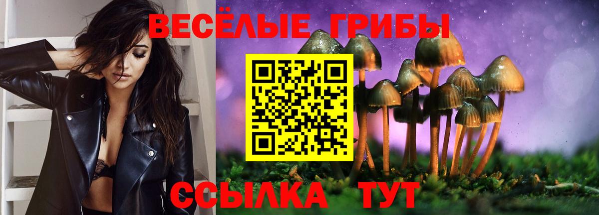 Псилоцибиновые грибы Psilocybine cubensis Люберцы